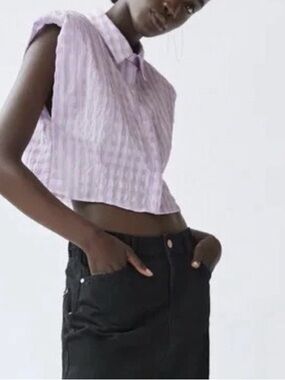 Zara Lilac and White Gingham Sleeveless Button-Up Crop Top